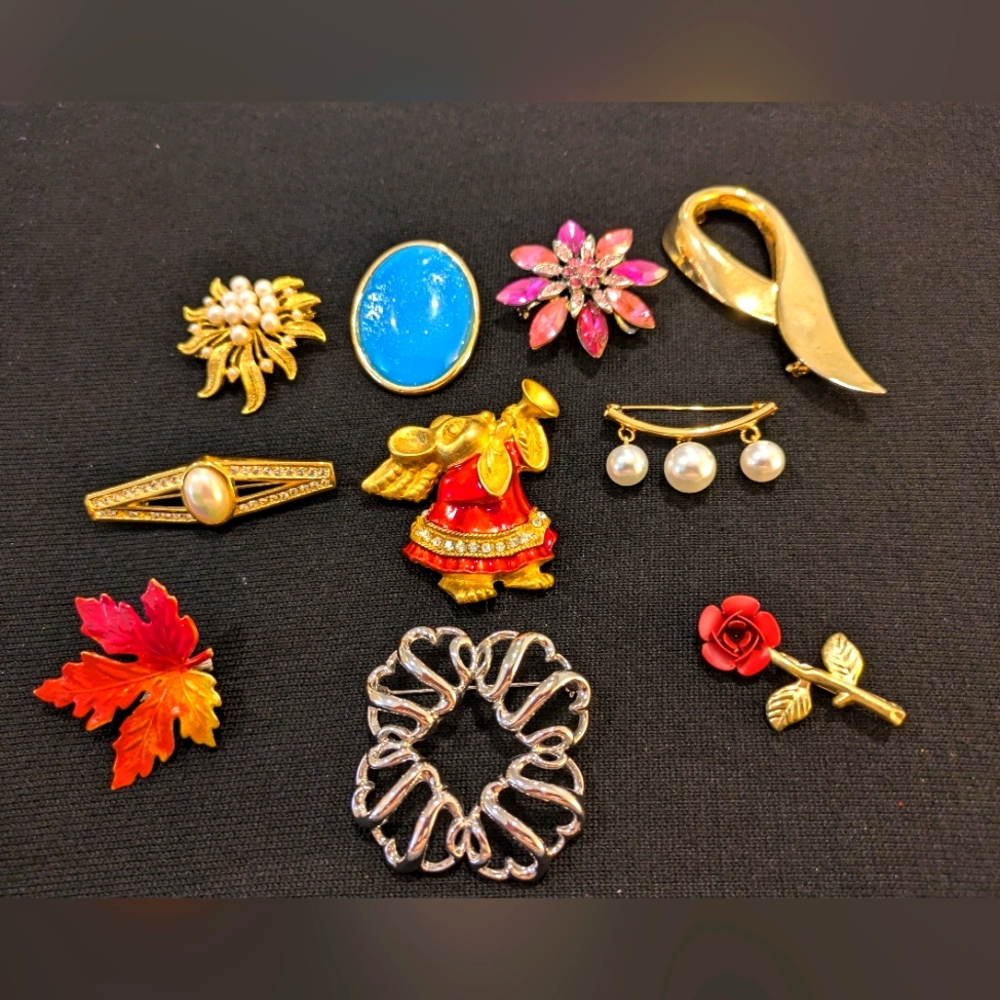 Elegant  Brooches Set Of 10